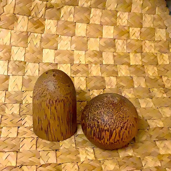 Unique and Unbranded Salt and Pepper Shakers - possibly coconut shell - Picture 6 of 8
